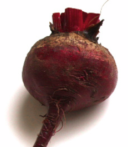 Thumbnail image for A Whole New Beet