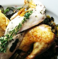 Thumbnail image for Zuni Café Whole Chicken and Bread Salad Recipe