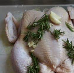 Thumbnail image for Thick as a brick chicken