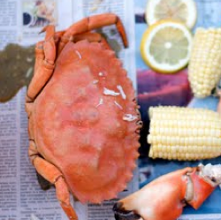Thumbnail image for An improvised recipe for Maryland Crab soup