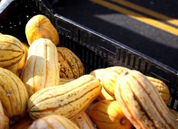 delicata squash recipe