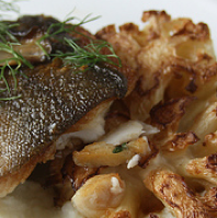 Thumbnail image for Dinner with Infinite Fress