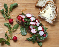 Thumbnail image for A Recipe for Time