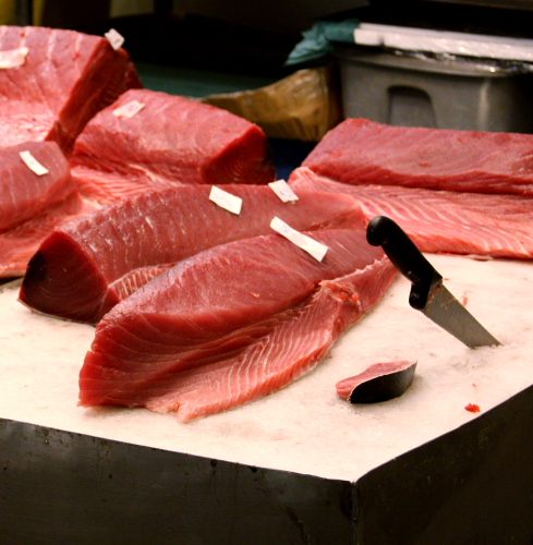 raw fish market