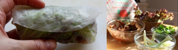 spring roll collage spring roll collage