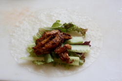Thumbnail image for No Drip Vietnamese Spring Rolls: Gourmet Airplane Food