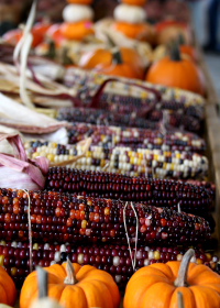 Thumbnail image for Culinary Tour of Michigan