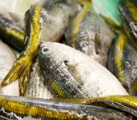 Thumbnail image for A Seafood Recipe–Inspired by an International Fish Market